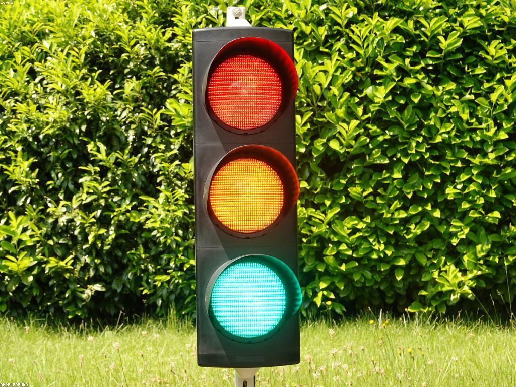 ការស្រាវជ្រាវអំពីកាស៊ីណូអនឡាញផ្សាយផ្ទាល់