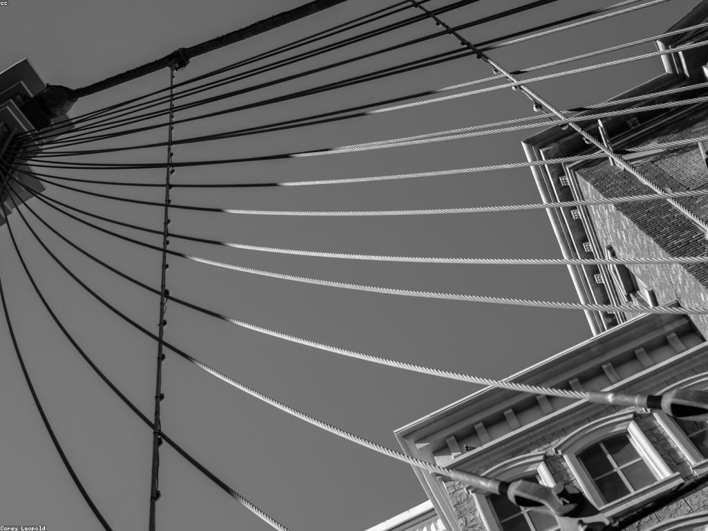 និន្នាការថ្មីៗនៅក្នុងវិស័យកាស៊ីណូ