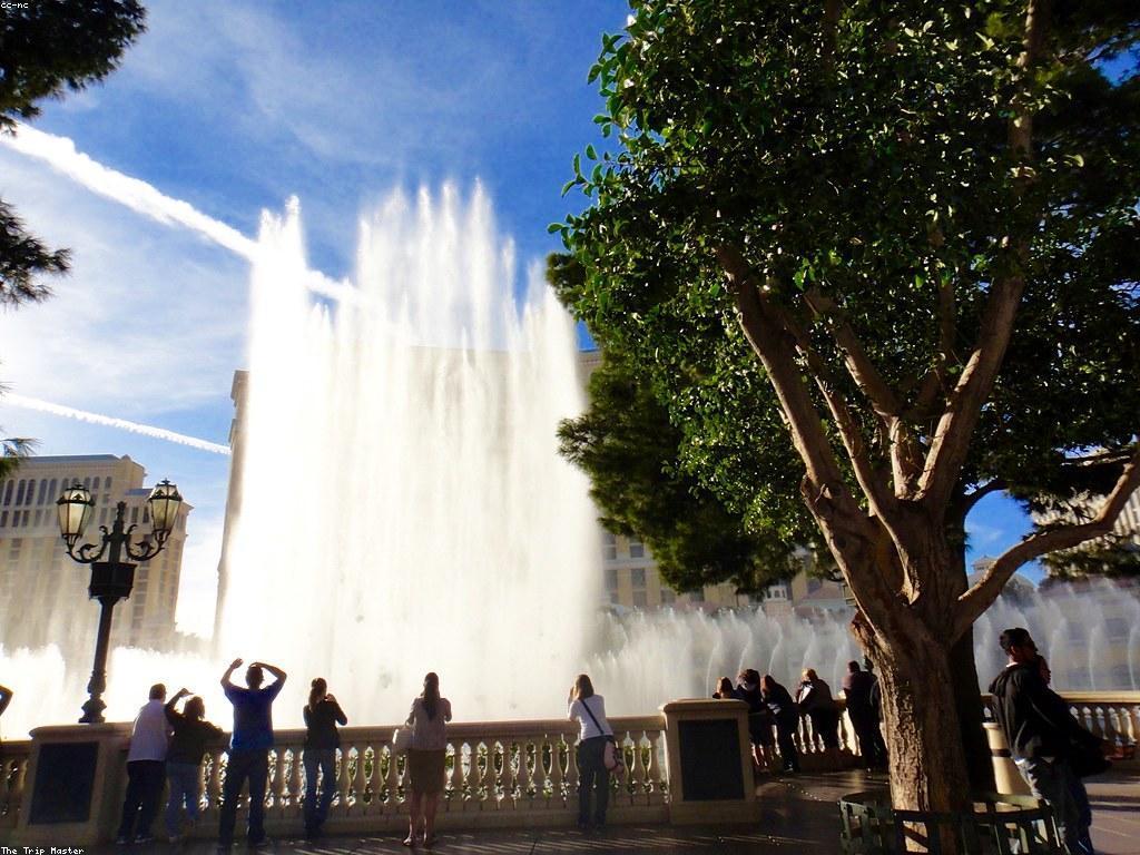 ការដឹងអំពីការប្រកួតកាស៊ីណូ